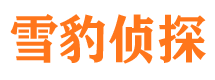 比如市调查公司